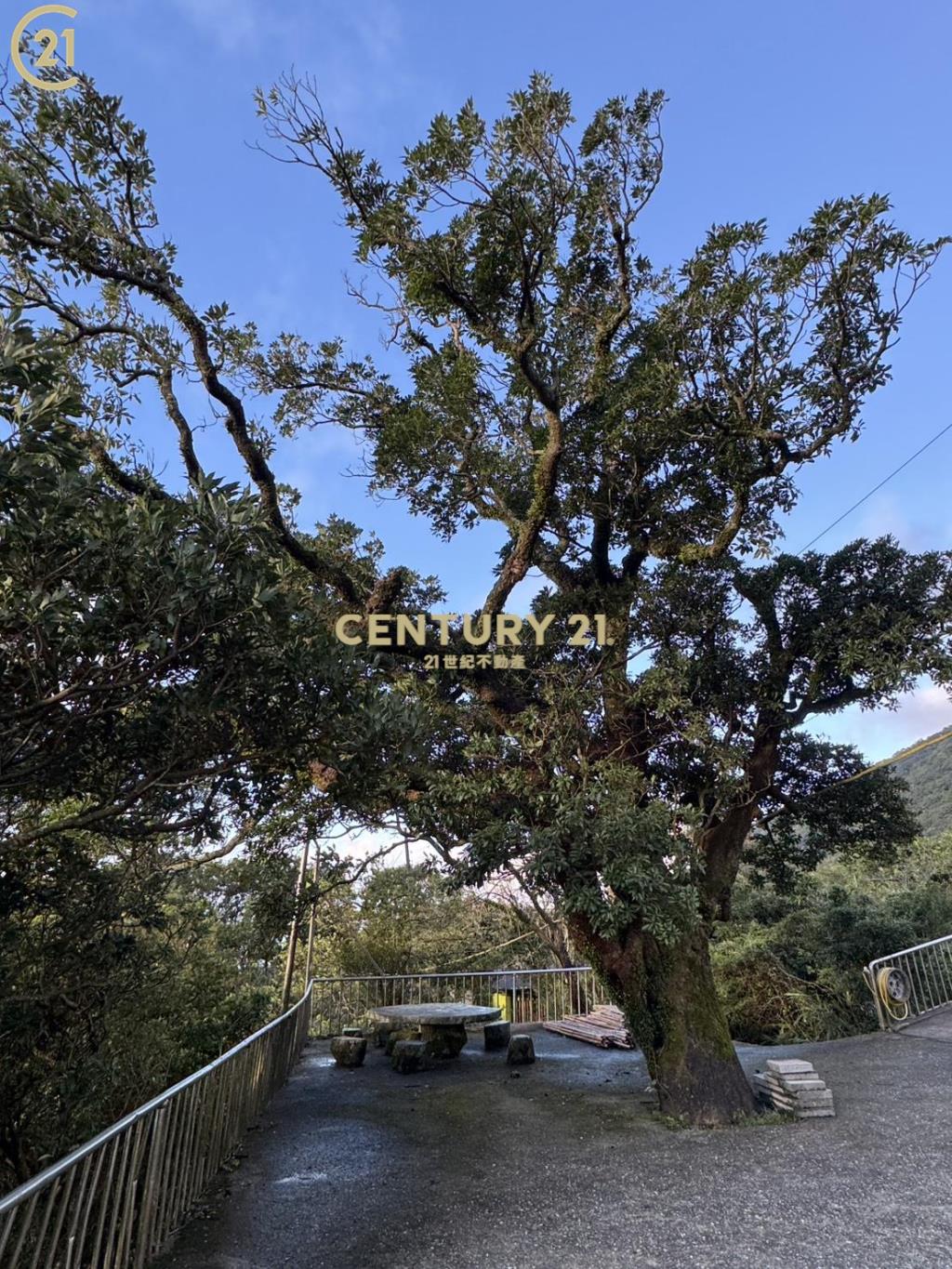 陽明山公園土地附合法建物