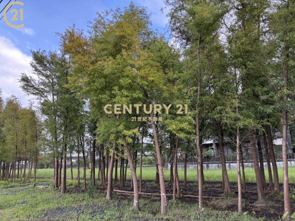 宜蘭振興二段漂亮農地