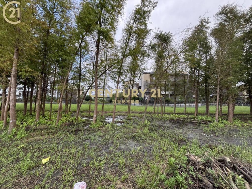 宜蘭振興二段漂亮農地