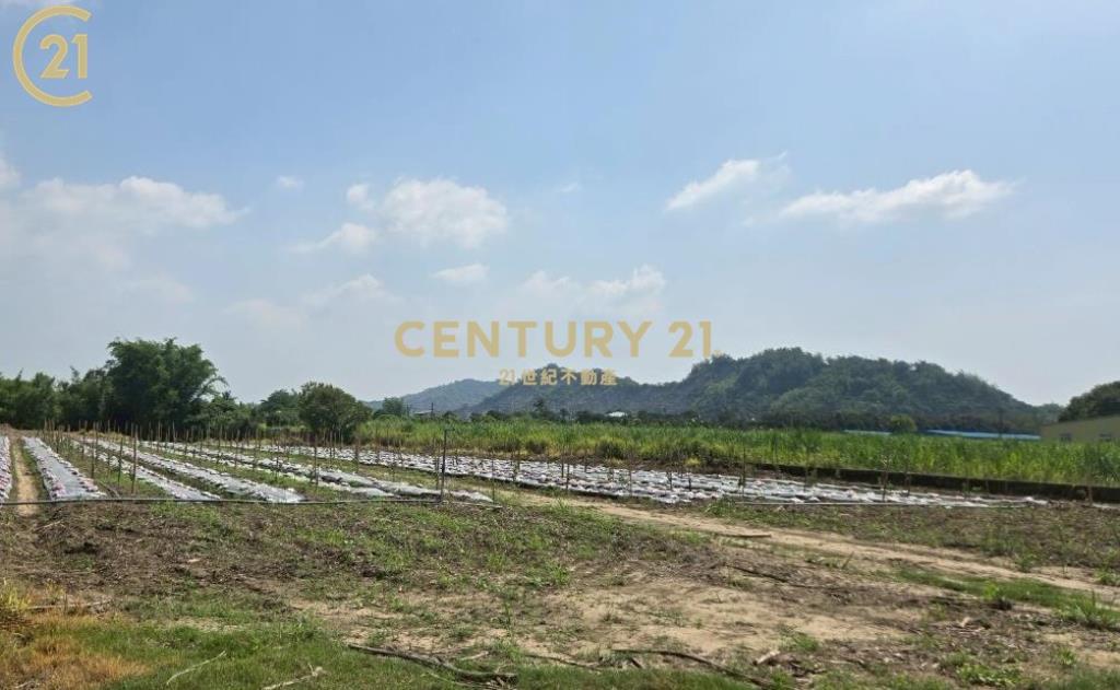 玉井全新資材室美農地