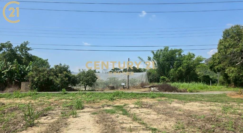 玉井全新資材室美農地