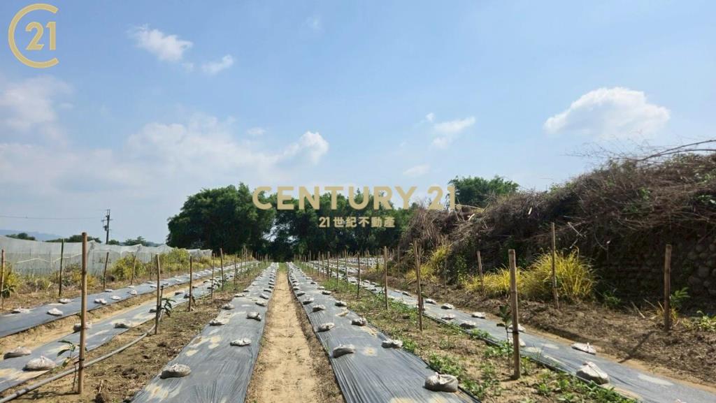 玉井全新資材室美農地