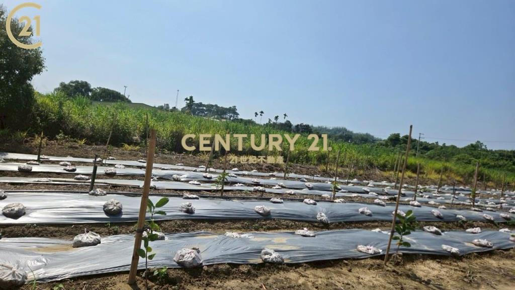 玉井全新資材室美農地