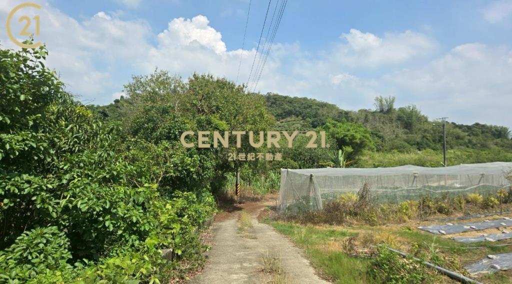 玉井全新資材室美農地