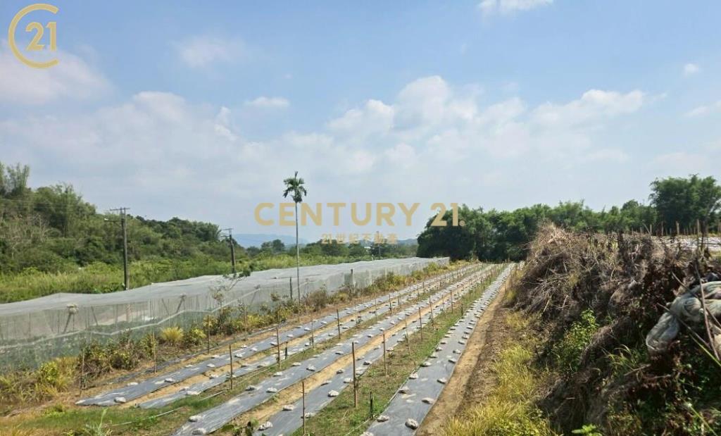 玉井全新資材室美農地