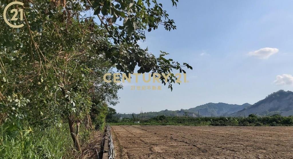 玉井豐里全新資材室農地