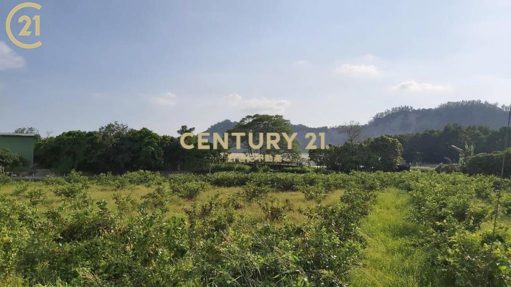 玉井豐里全新資材室農地