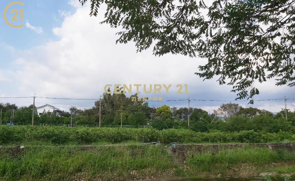 玉井豐里全新資材室農地