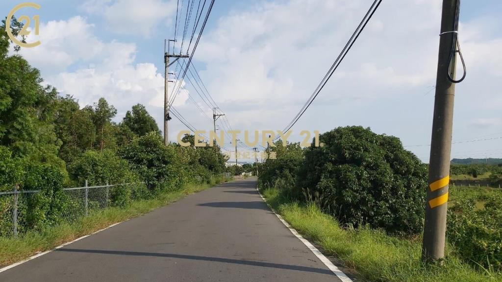 玉井豐里全新資材室農地