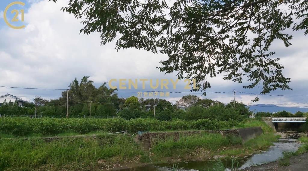 玉井豐里全新資材室農地