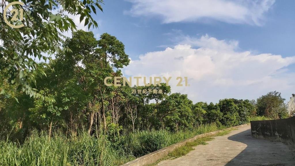 玉井豐里全新資材室農地