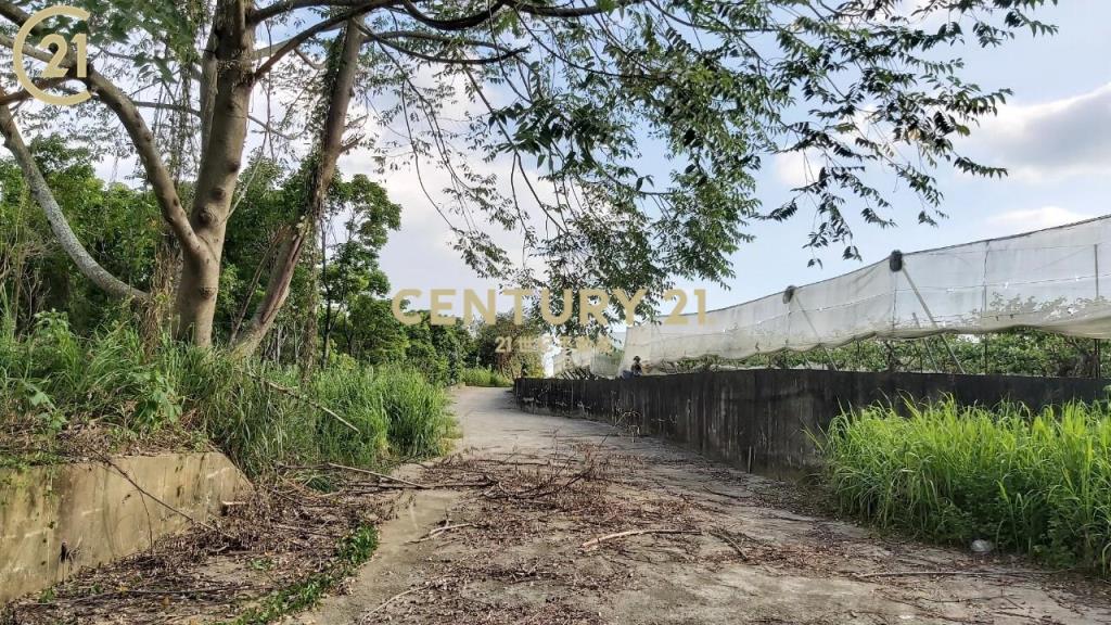 玉井豐里全新資材室農地