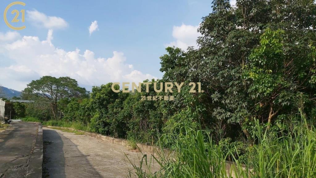 玉井豐里全新資材室農地