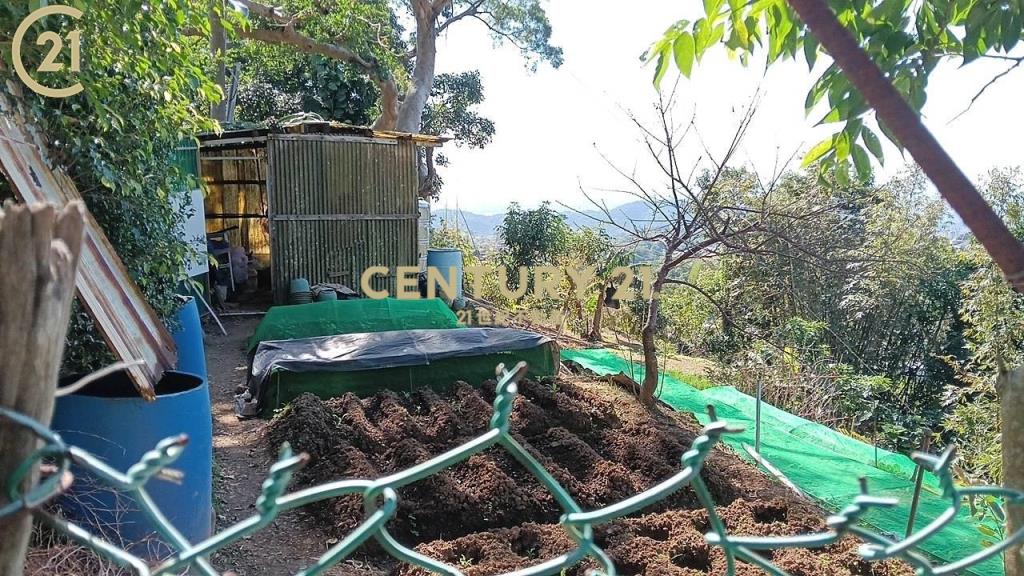 士林陽明山新安路土地