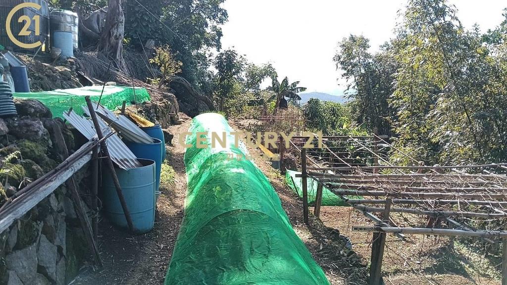 士林陽明山新安路土地