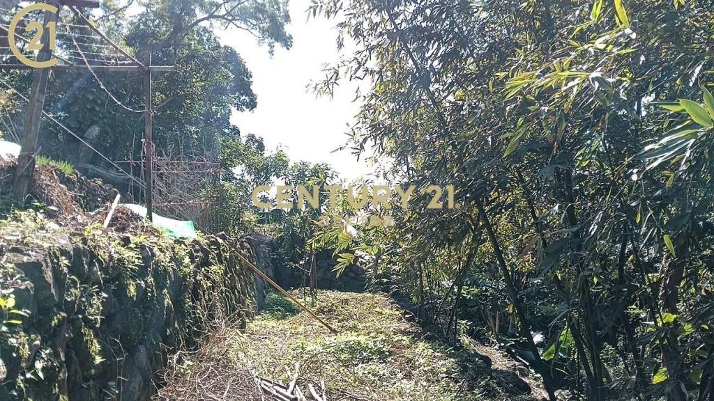 士林陽明山新安路土地