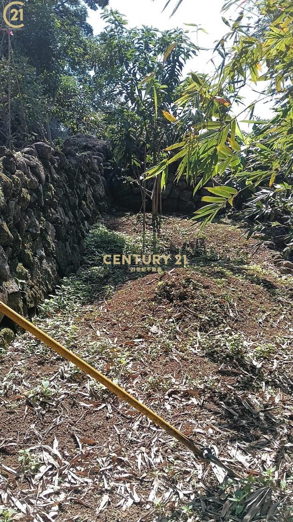 士林陽明山新安路土地