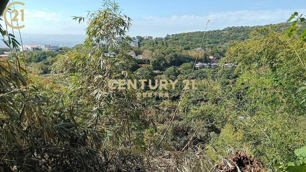 士林陽明山新安路土地