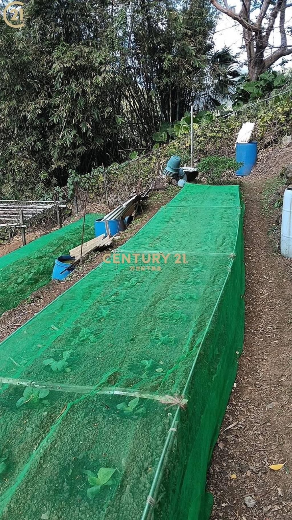 士林陽明山新安路土地