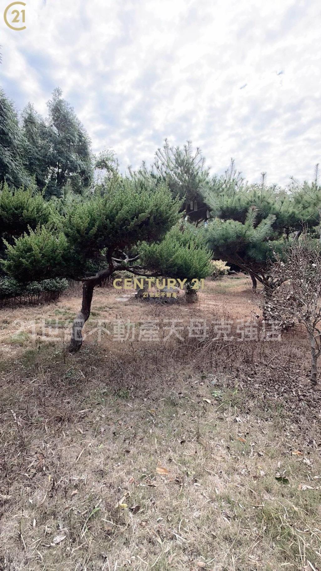 苗栗雲景景觀尊爵行館