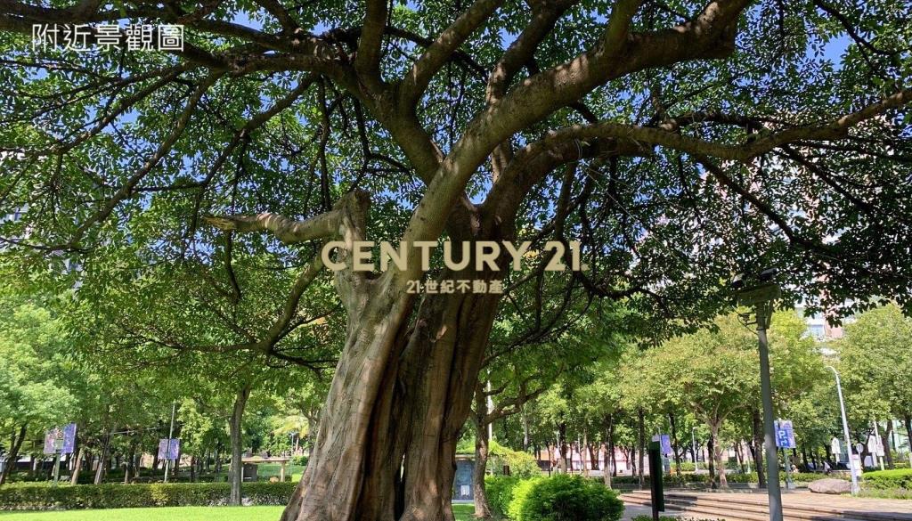 南京松江2房寓邸(A26001)