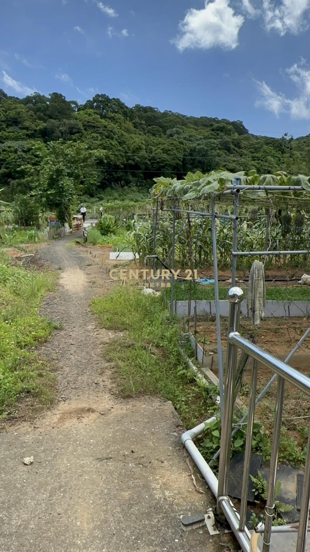 蛻變中的石門區大批土地大商機