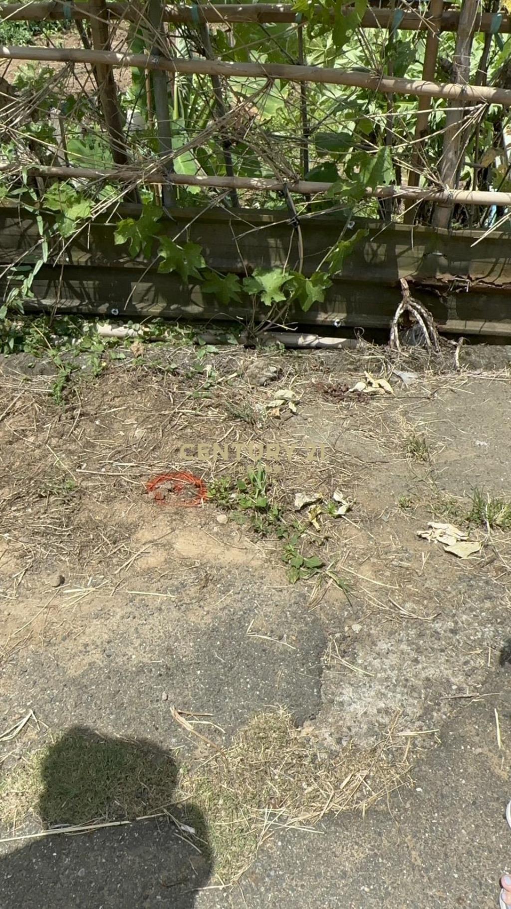 蛻變中的石門區大批土地大商機