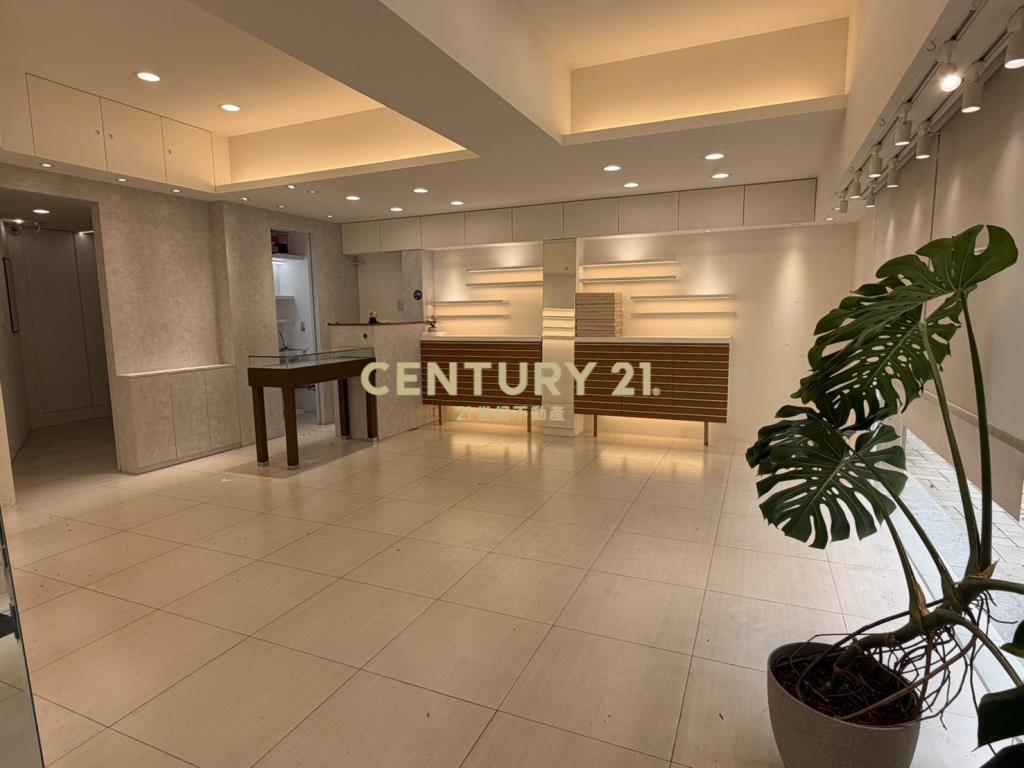 大直內科商圈三角窗精品店面