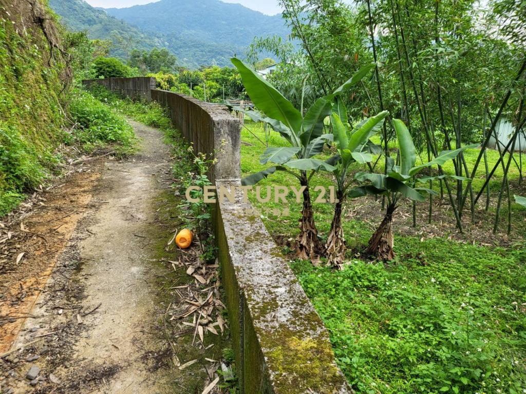 聚寶盆樂活農場-土地1731.51坪