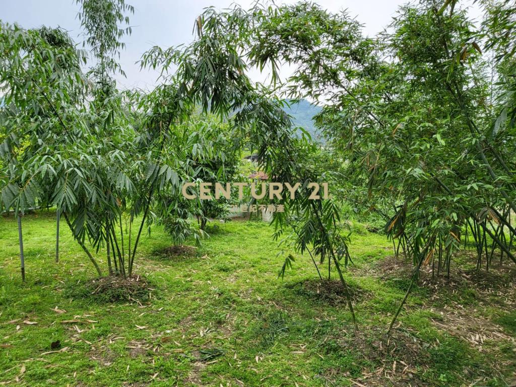 聚寶盆樂活農場-土地1731.51坪