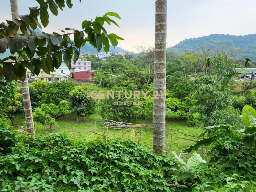 聚寶盆樂活農場-土地1731.51坪