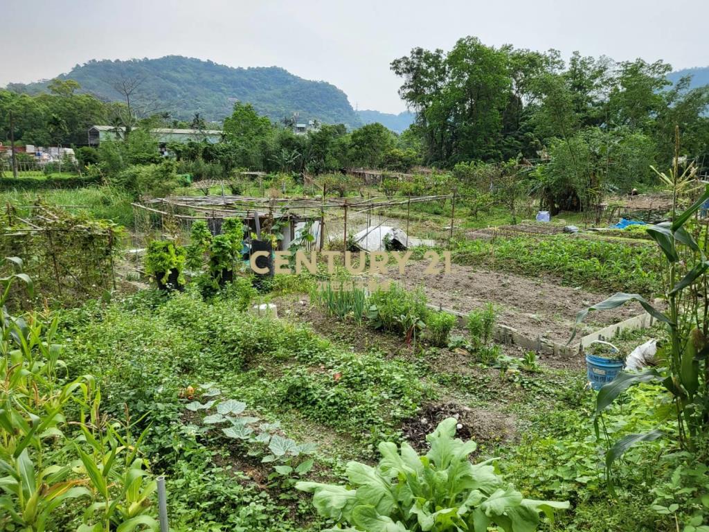 聚寶盆樂活農場-土地1731.51坪
