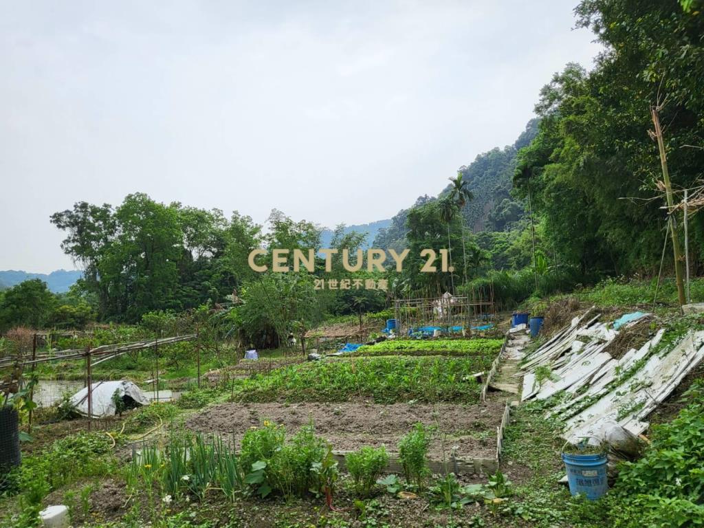 聚寶盆樂活農場-土地1731.51坪
