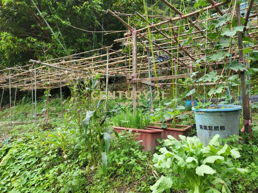 聚寶盆樂活農場-土地1731.51坪