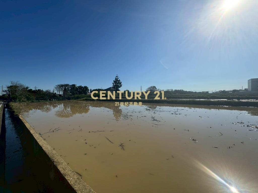 觀音方正美農地