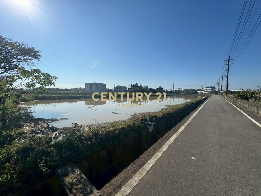 觀音方正美農地