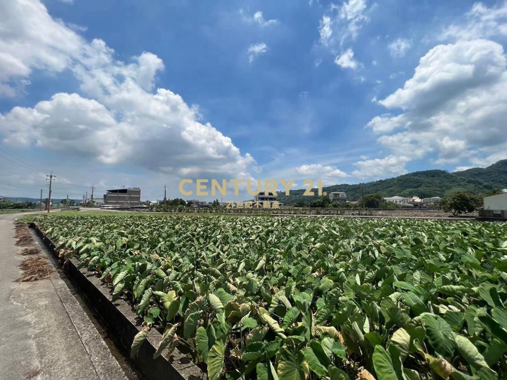 苗栗公館農地