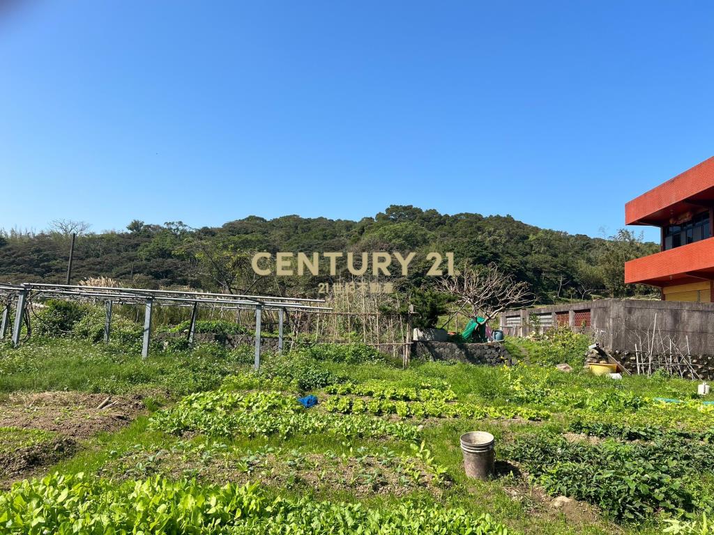 桃園蘆竹特定區(都計內保護區)