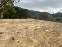 優質渡假村開發用地