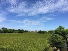 ❤21新豐松林❤崁頭農地
