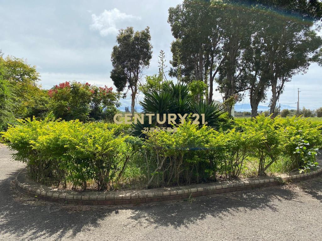 ❤21新豐松林❤新豐甲建獨棟豪華莊園