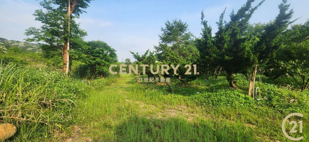 ❤21新豐松林❤湖口8米路一段農地