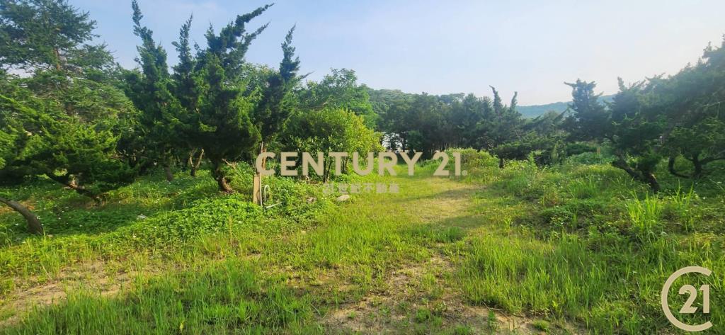 ❤21新豐松林❤湖口8米路一段農地