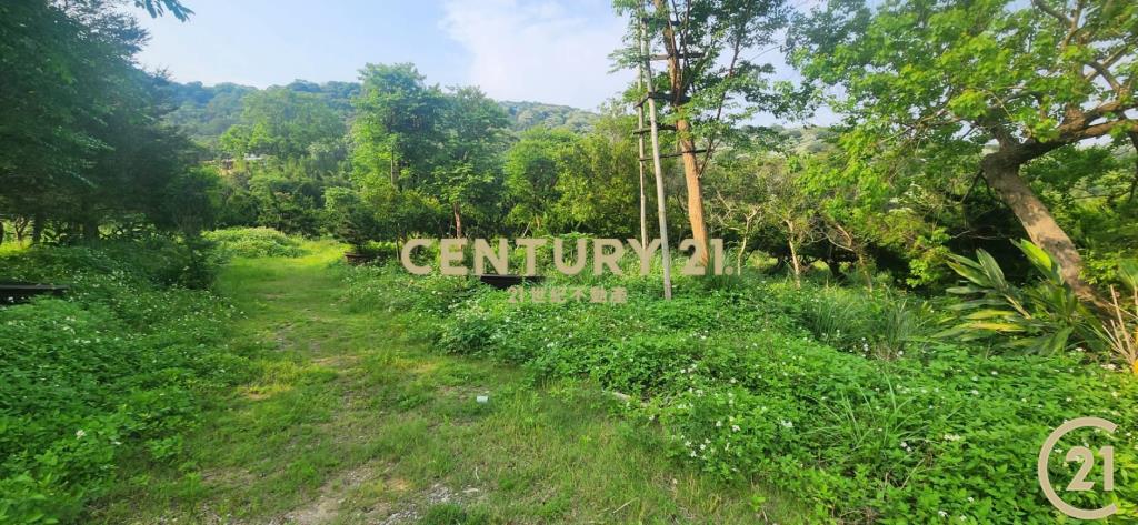 ❤21新豐松林❤湖口8米路一段農地