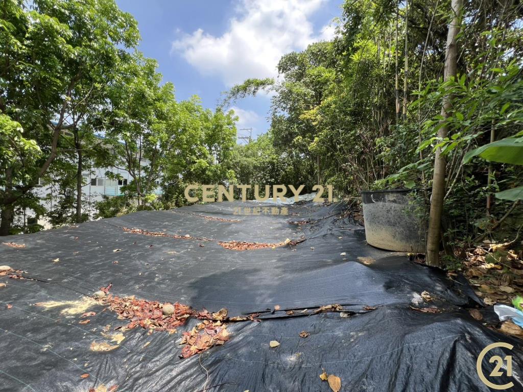 ❤21新豐松林❤豐原葫蘆墩段百坪建地