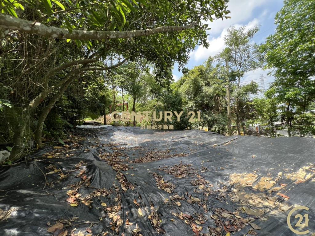 ❤21新豐松林❤豐原葫蘆墩段百坪建地