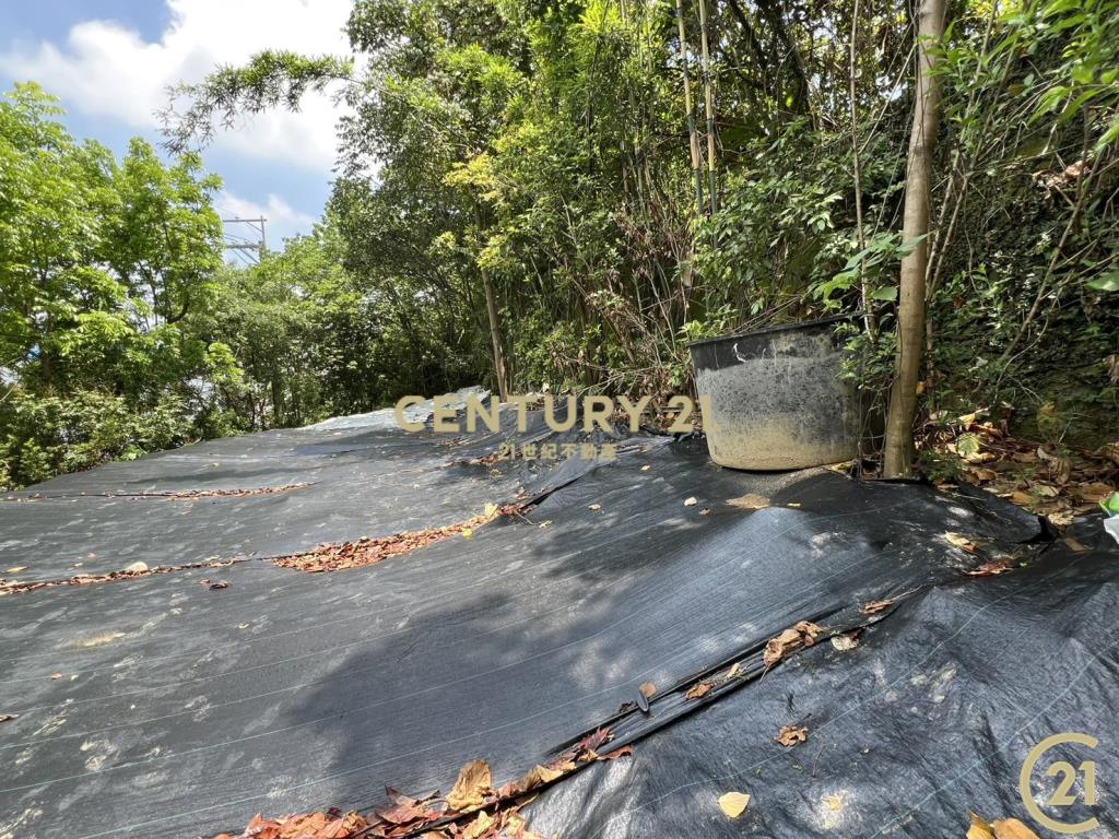 ❤21新豐松林❤豐原葫蘆墩段百坪建地