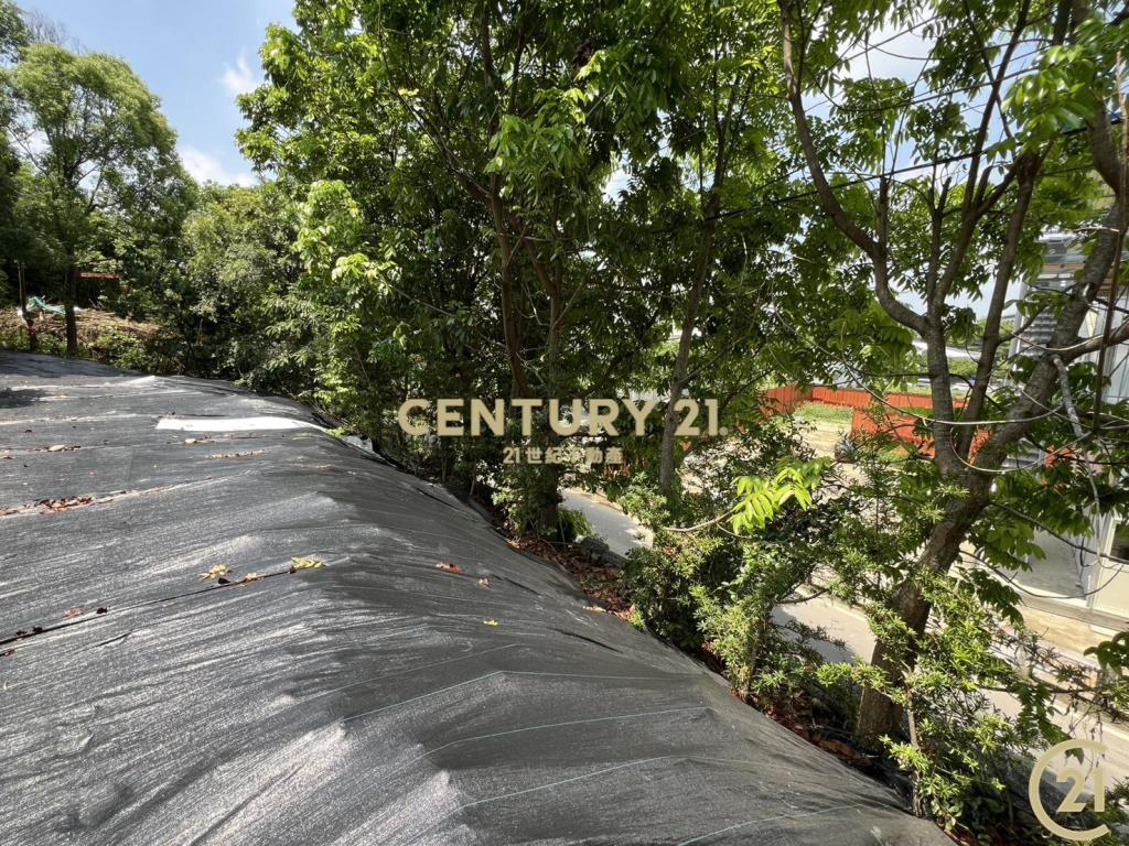 ❤21新豐松林❤豐原葫蘆墩段百坪建地