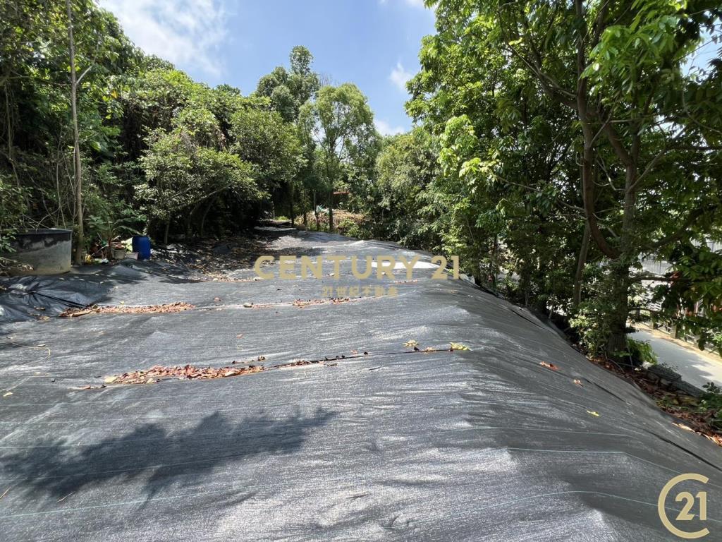 ❤21新豐松林❤豐原葫蘆墩段百坪建地