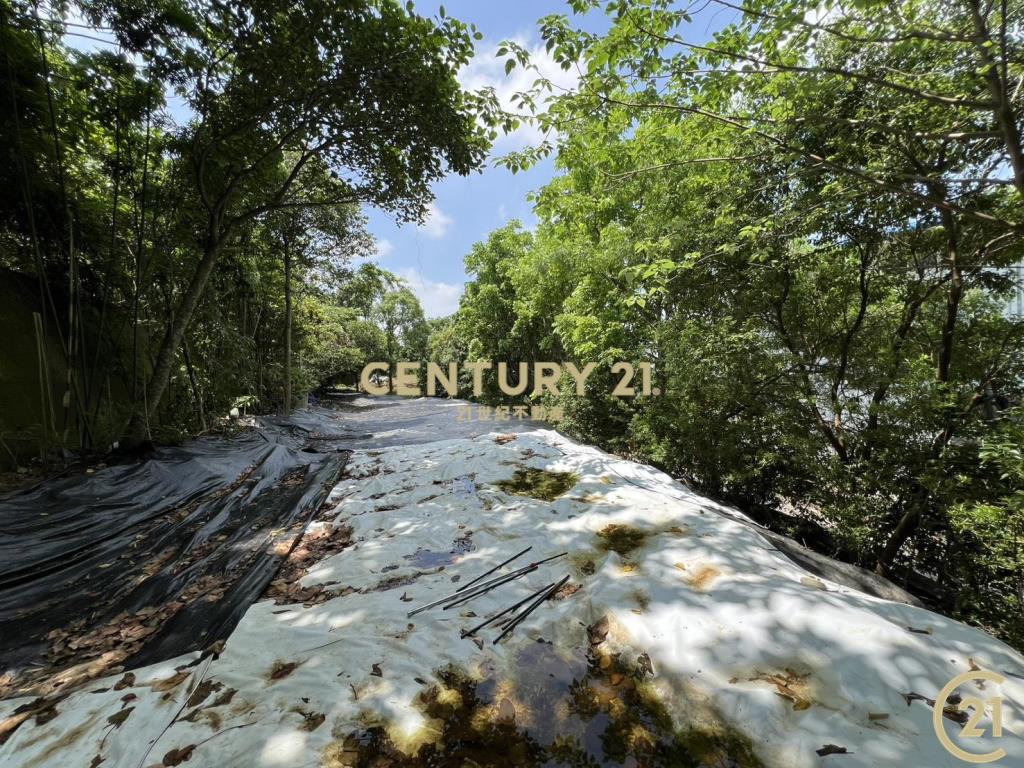 ❤21新豐松林❤豐原葫蘆墩段百坪建地